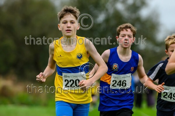 WestRLY25-923805 - Young Male Set Two