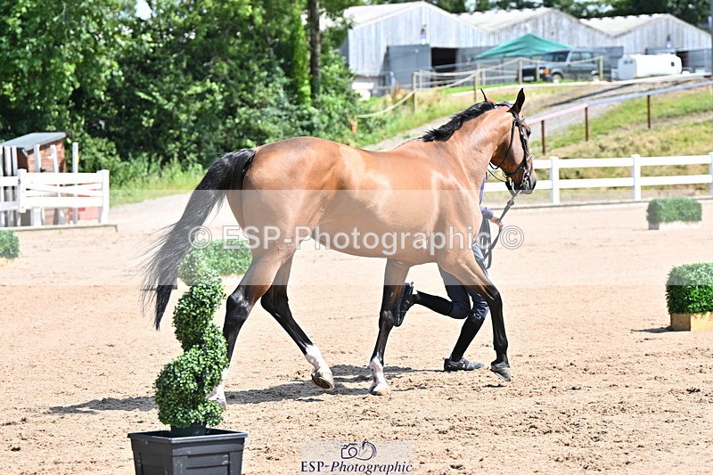 240718A-105238-00959 - Trot Up 11am to 12pm
