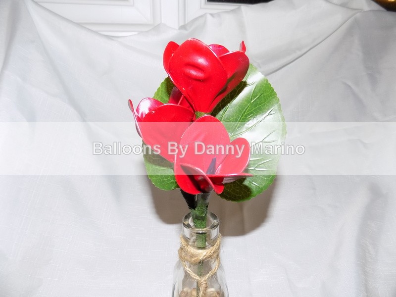  - Balloon Flowers