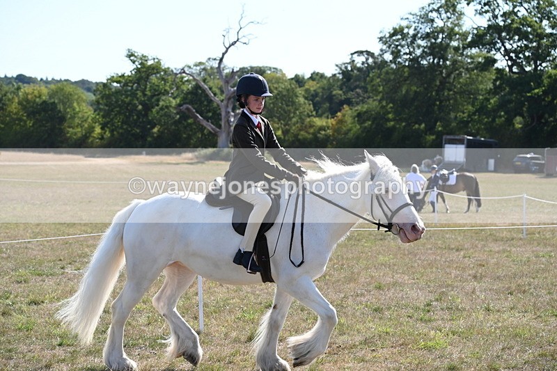 WJ6_7487 - Class 34 Judges Choice