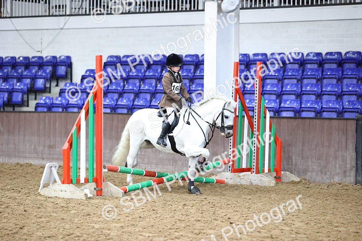 SBM_000276 - Class 2 - The Rug Lady 40cm Area 12 Championship Qualifier