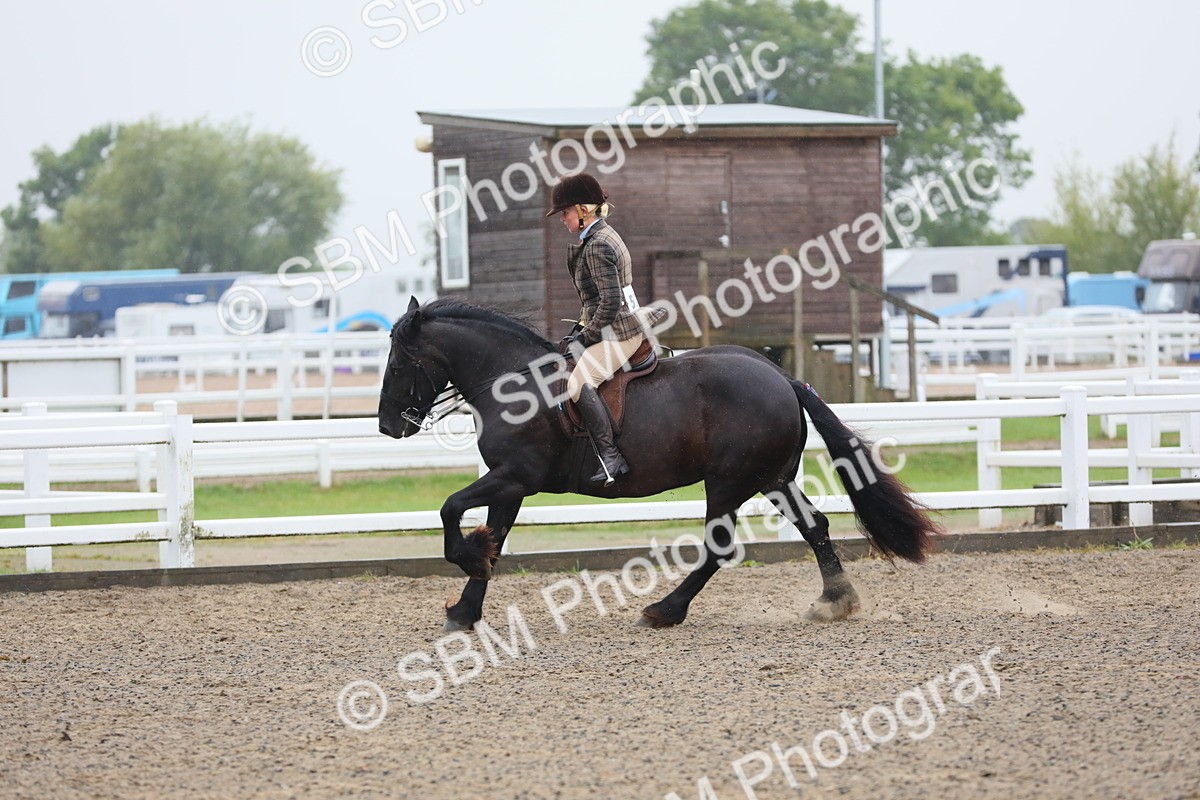 SBM_20312 - Class 803 - Ridden Combination 65+