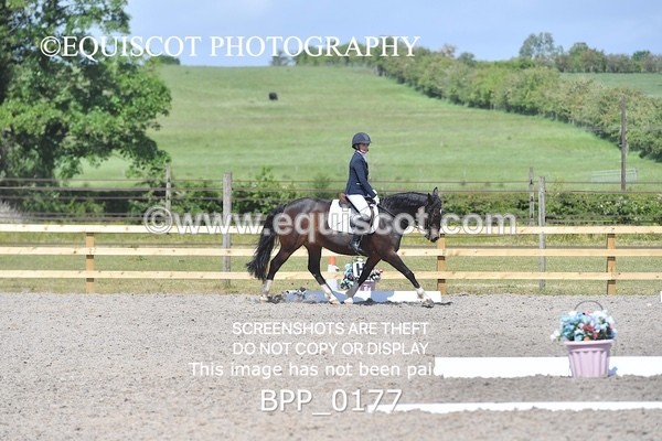 BPP_0177 - SHORT ARENA  MY QUEST PRELIM