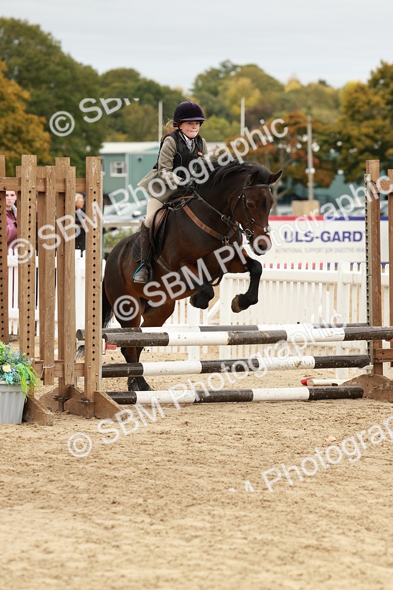 SBM_66884 - J13 - Junior Pony 60cm Championship