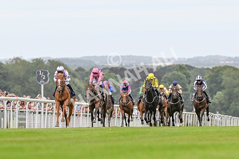 140824-Race 2-Stanhope Gardens-3453 - Race 2