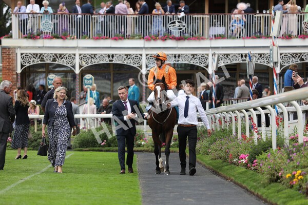 yr17082022r7-36 - Race 7 5.20pm Sky Bet Nursery Handicap