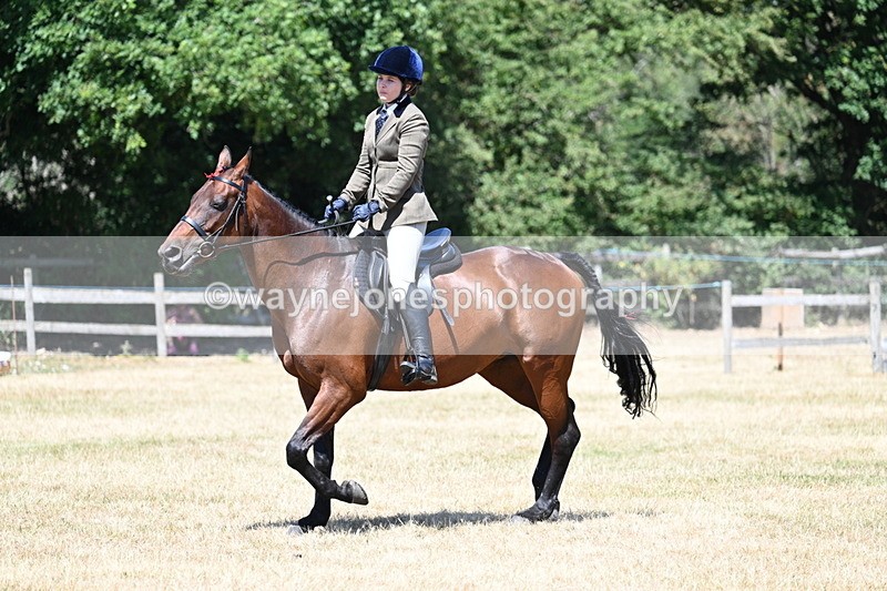 WJ7_3066 - Class 7 Riding Club Show Horse