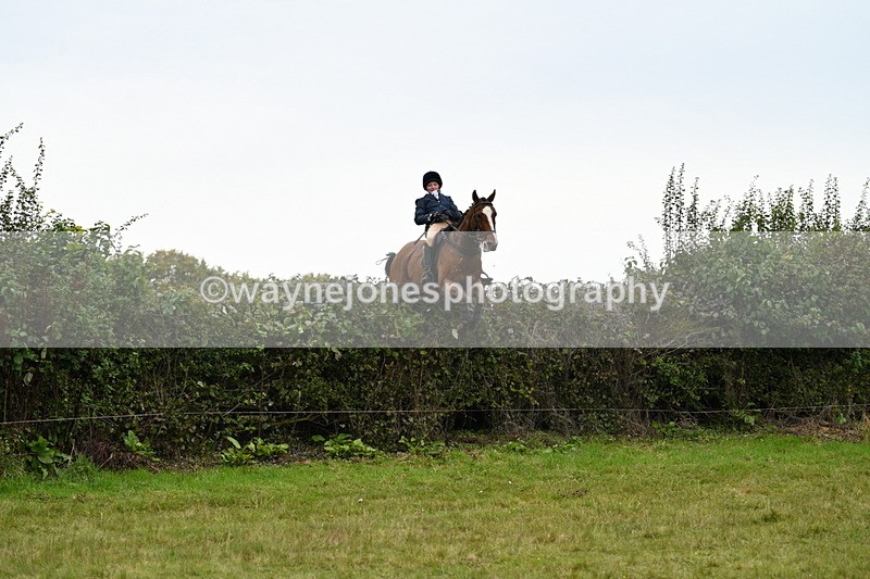 WJ7_4087 - Camera 1 Line 2