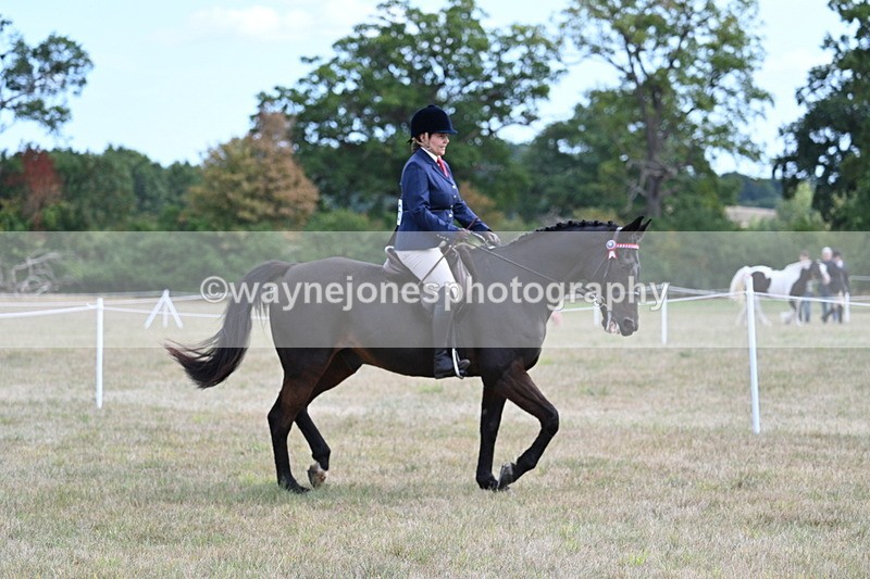 WJ7_5962 - Class 13 Ridden Veterans