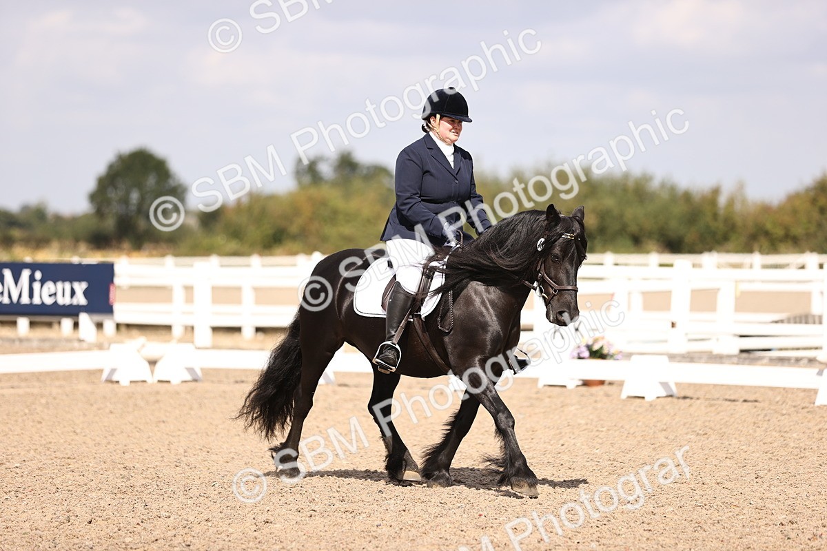 SBM_03679 - CLass 35 Intro 3