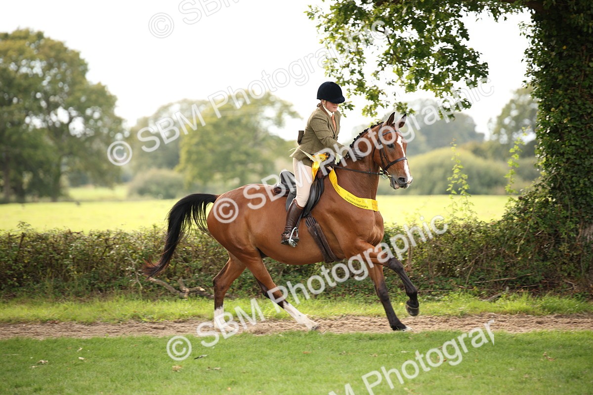 SBM_70447 - S66 - Hunter Ridden