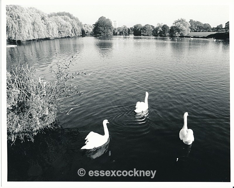  - Essex