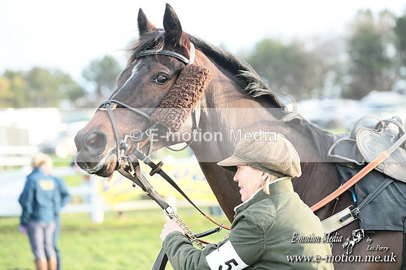 PtP 141225  2223 - New Forest Hounds PtP Larkhill 14/12/25