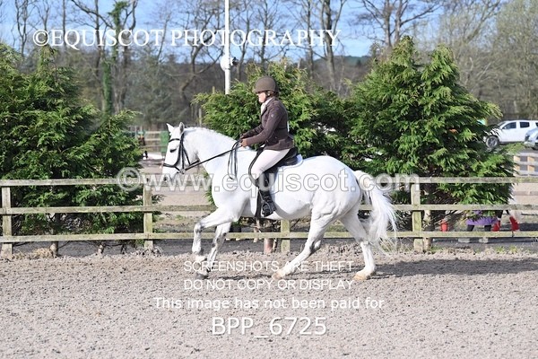 BPP_6725 - RING 1  (RIDDEN HORSES / IN HAND / VETERAN ETC)