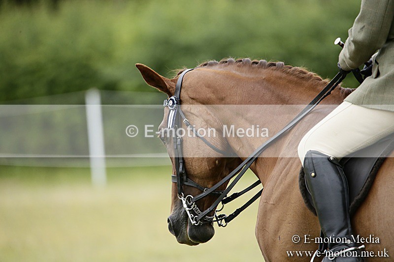 BVR160717-1011 - Caught on Camera 16/07/17