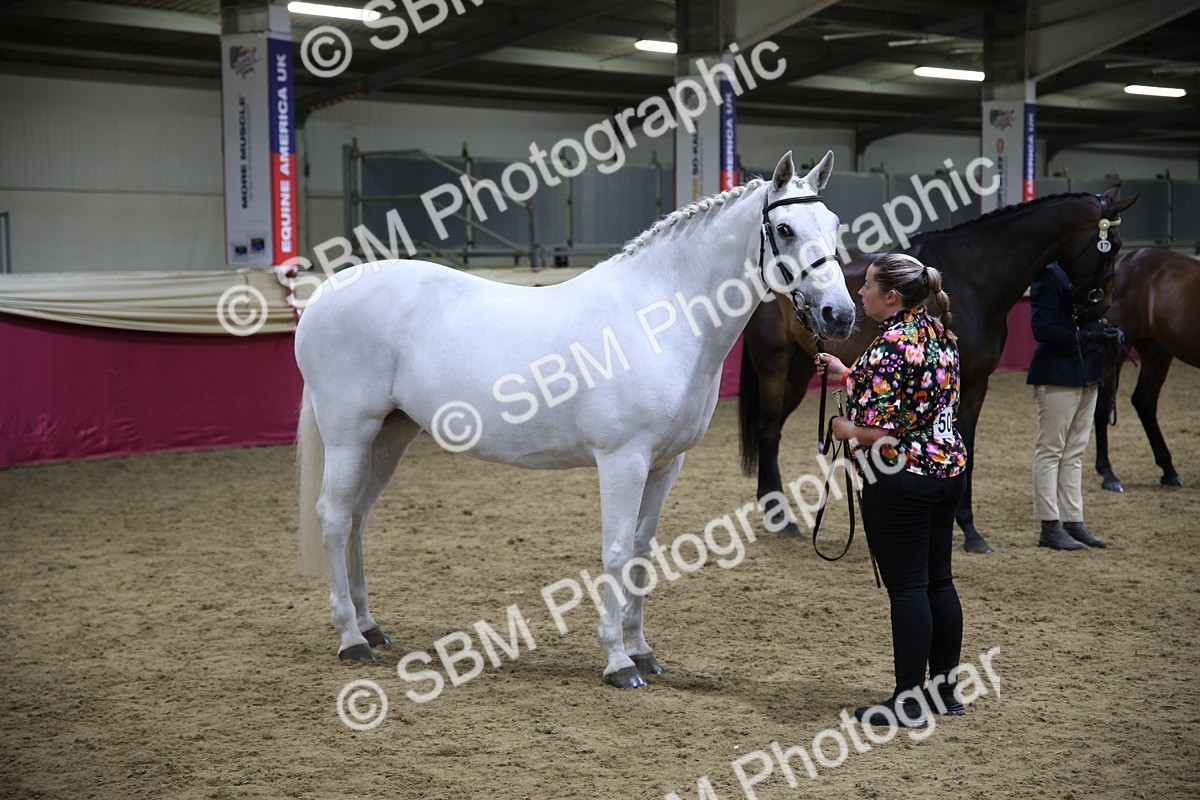 SBM_18832 - Class E IH Horse Champ