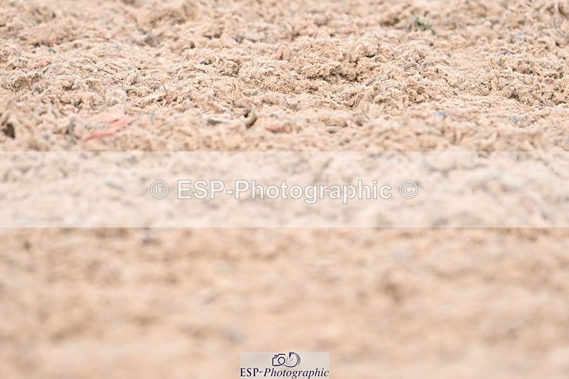 240324A-130533-02479 - Novice 28, 13.00 to 14.00