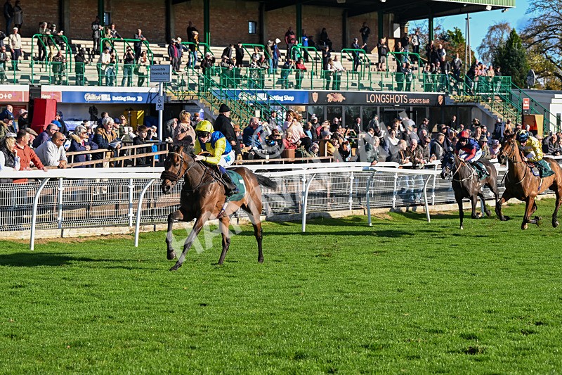 291024-Race 3-Kings Scholar-5926 - Race 3