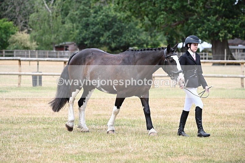 WJ6_4555 - Class 10 Coloured In-hand