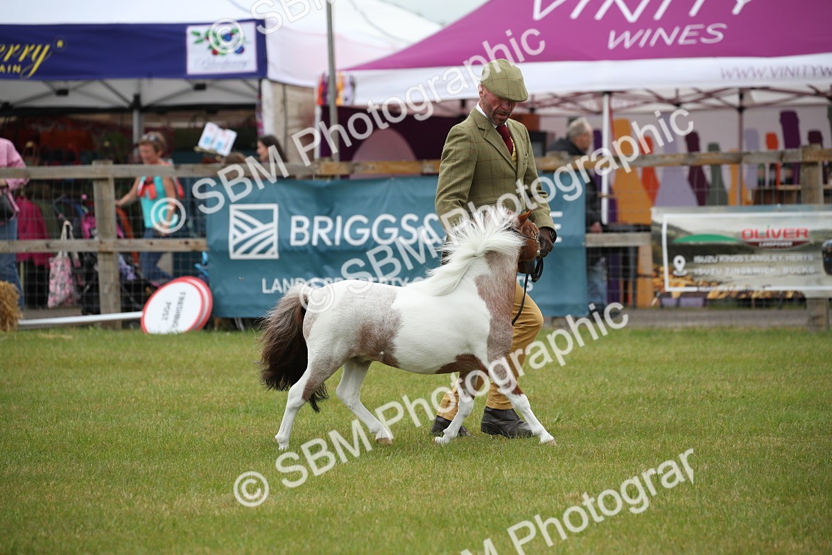 SBM_03708 - Class 23-25 - British Miniature Horse of the Year