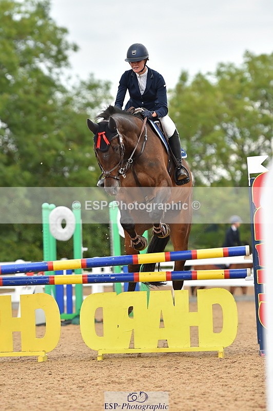 230720A-124114-02620 - Cls 13, 1 Star Bronze 1.10m