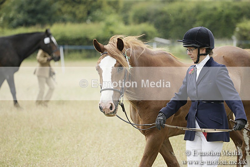 B230619-0559 - Bourne Valley Riding Club Summer Show 23/06/19