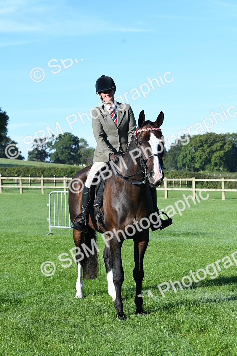 SBM_34041 - S16 - Condition & Turnout - Ridden