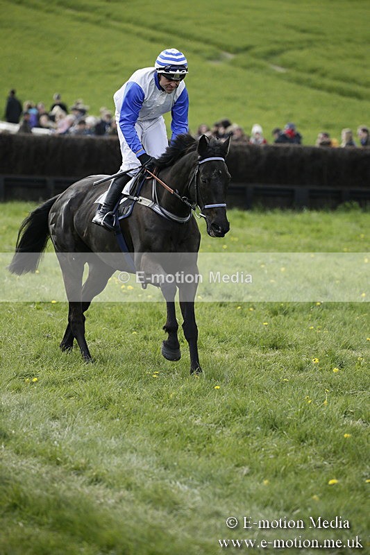 PtP 170417 403 - Old Berks Point-to-Point Lockinge 17/04/17