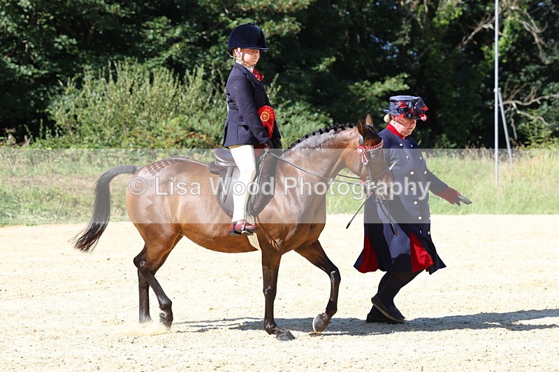 3E7A8075 - Class 15: Lead Rein