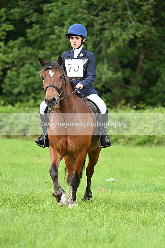 WJ7_1015 - Class 11 Condition & Turnout