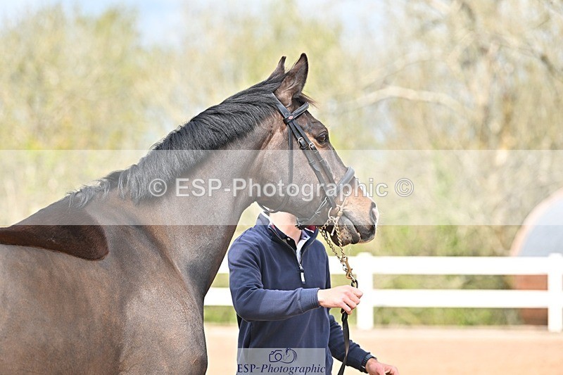 250423-133115-00637 - 1pm to 2pm