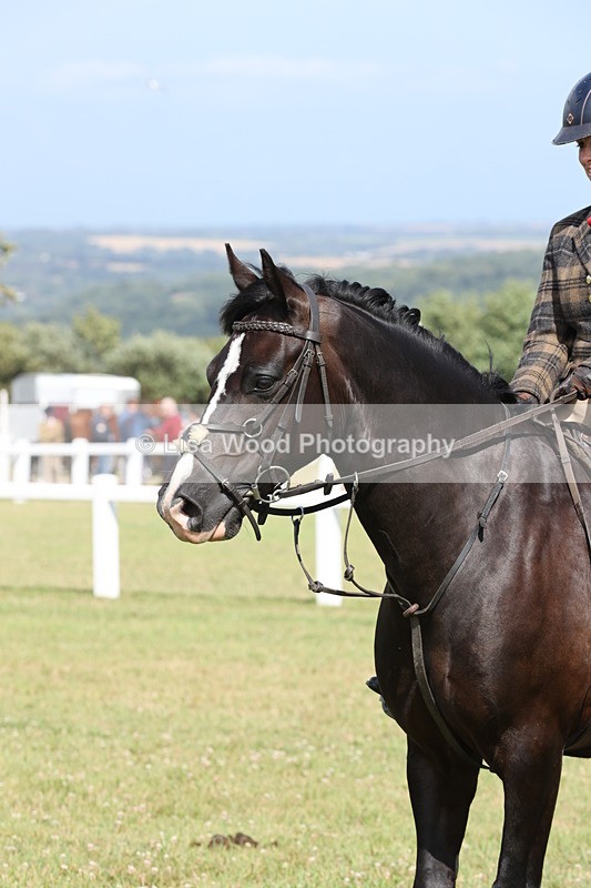 JPP_2438 - Class 19: Working Hunter 60cm