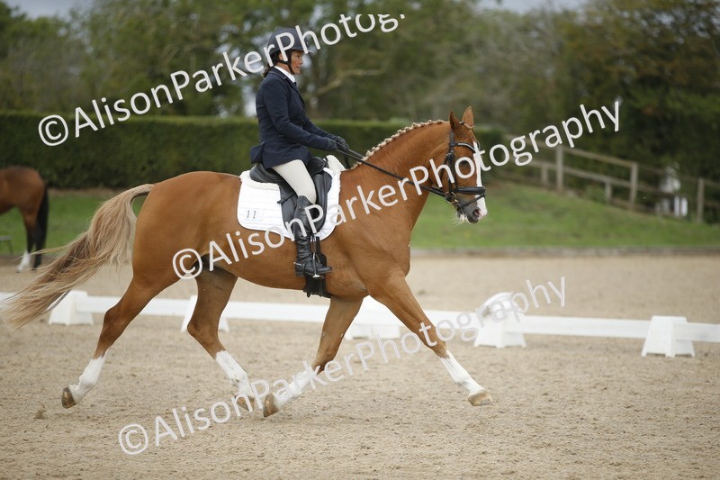20260913-0201 - Class 3 - Novice 5