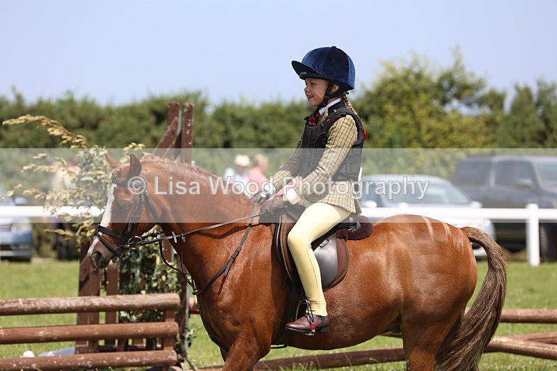 JPP_2492 - Class 21: Working Hunter 60cm