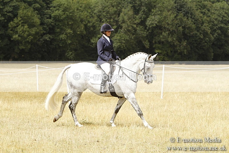 _BS_0995 - Working Hunter Championship BVRC Show 2018