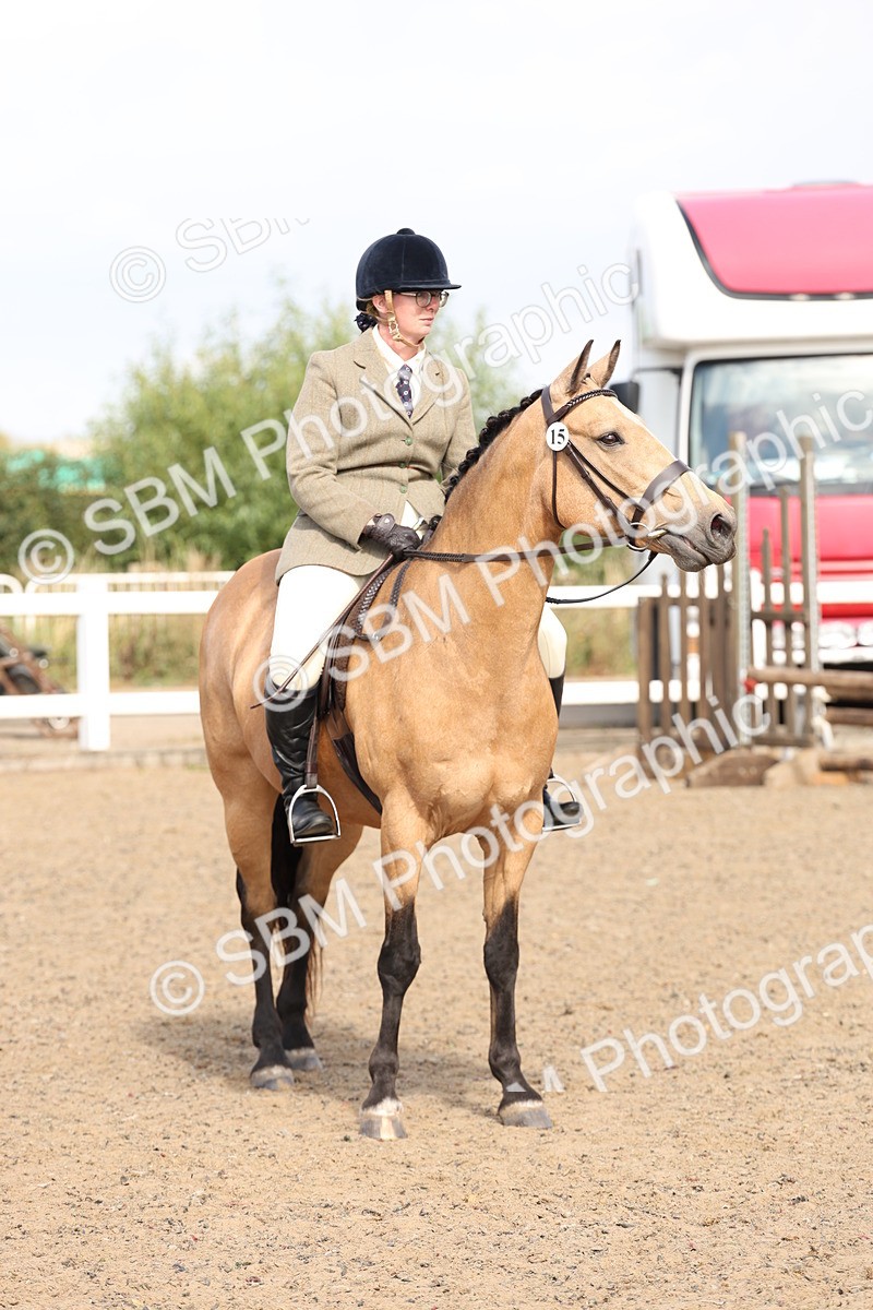 SBM_06808 - Class 58a -  Style & Performance - 70cm (15-19)