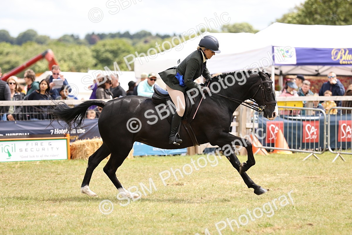 SBM_14809 - Class 88-89 - LIHS BSHA Rising Star of Ridden Hunter Type