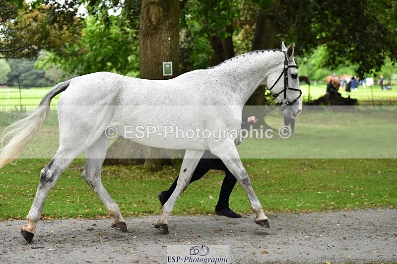 240522-155300-00556 - 111-FATHERS_COMPROMISE-Finn_Healy