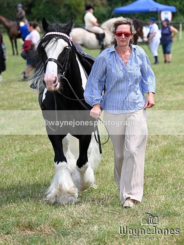 WJ7_7997 - Nancy And Churchill SORC summer show 21-06-26