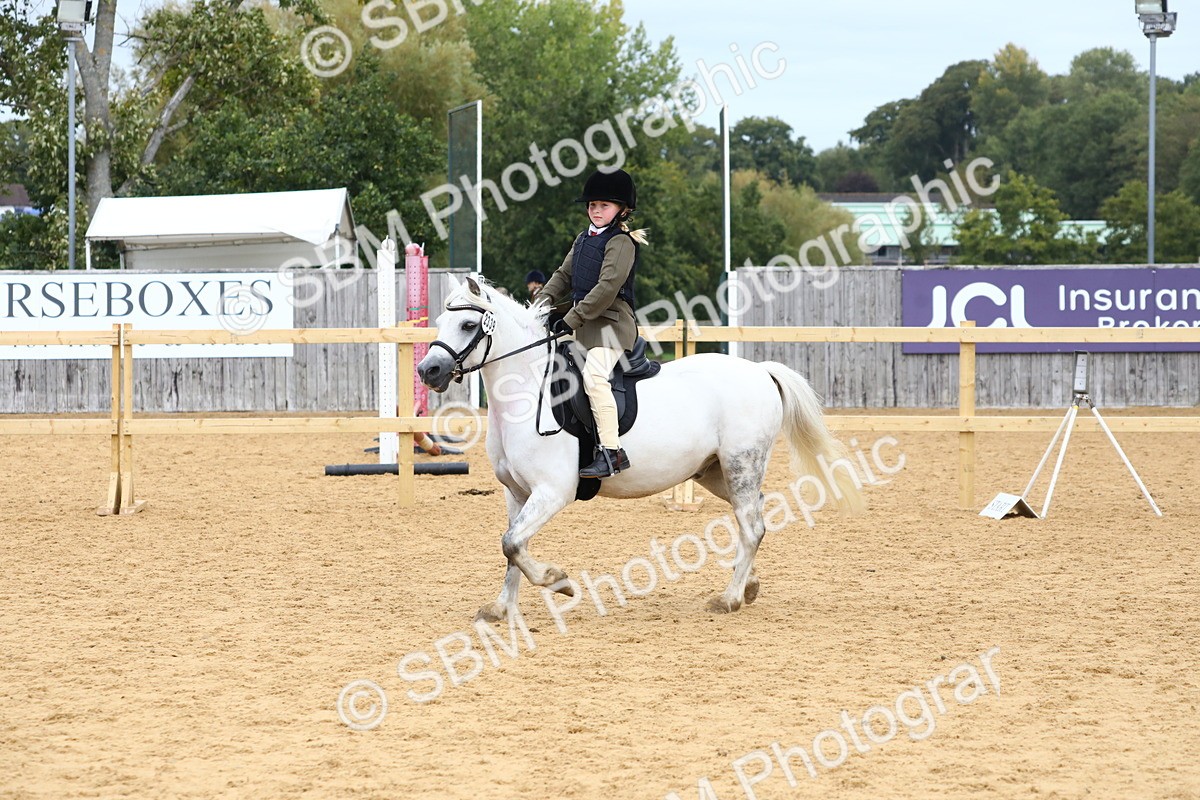 SBM_68131 - J3b - Mini Tour Junior Pony 40cm Championship