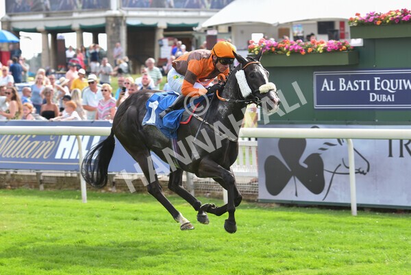 yr08072022r6-18 - Race 6 5.00pm Irish Thoroughbred Marketing Stakes