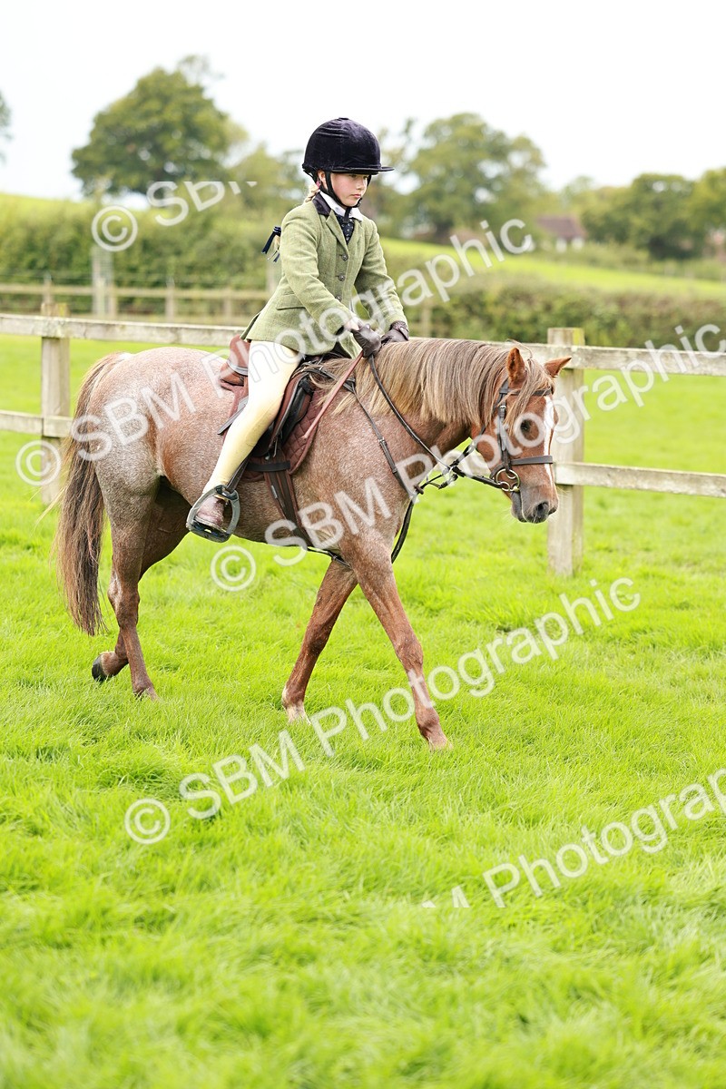 SBM_41785 - S32 - Mountain & Moorland Working Hunter Pony