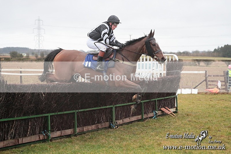 PtP 260125 363 - Cocklebarrow Point-to-Point racing with the Heythrop Hunt 26/01/25