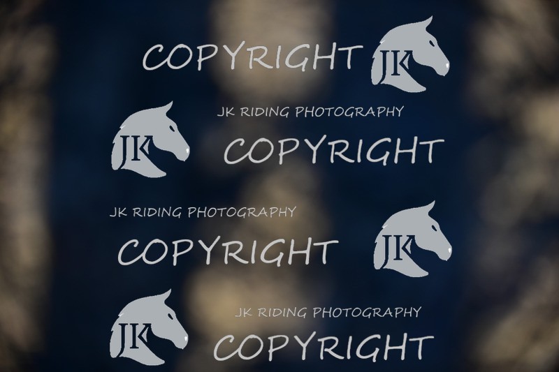 SBP_1091 - 10am - 11am