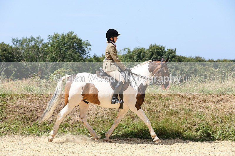 1X9A8769 - Class 19: Riding Club Horse