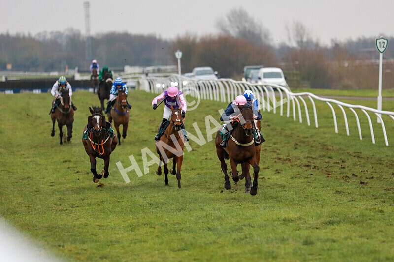 310125-Race 5-The Paddy Pie-4556 - Race 5