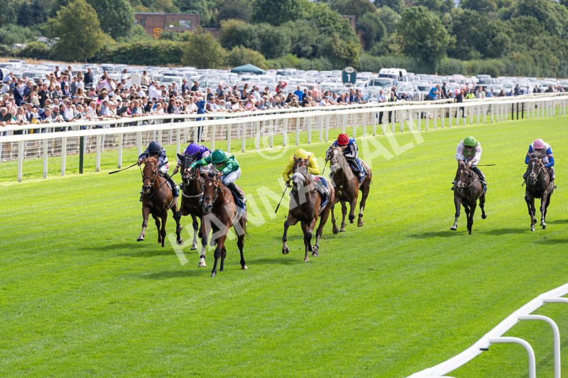 190826-Race 2-Haffner-0189 - Race 2 14.25pm Tattersalls Acomb Stakes