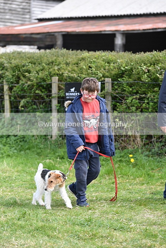 WJ5_0759 - Best in Show Championship