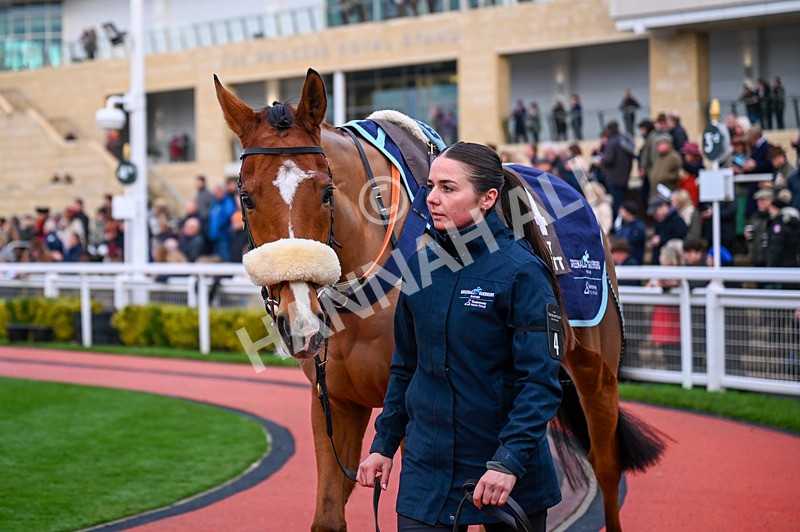 141224-Race 6-Aboutdamntime-0790 - Race 6