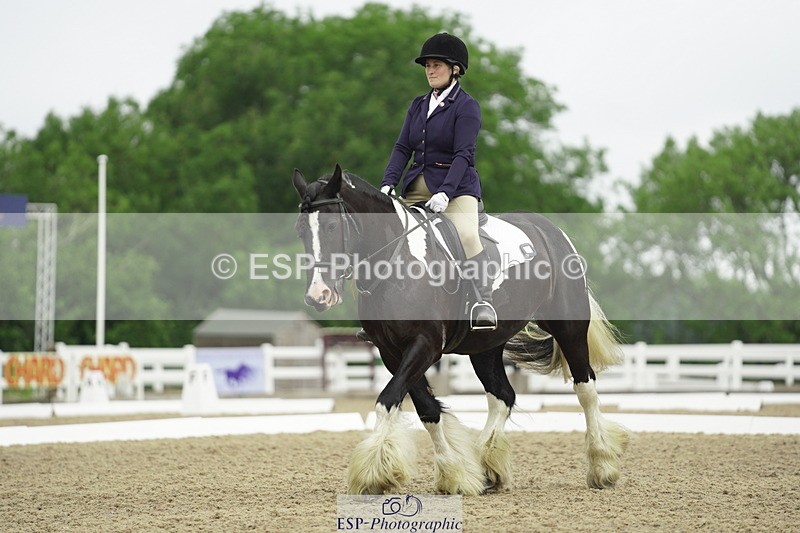 230708A-100102-00262 - Intro C